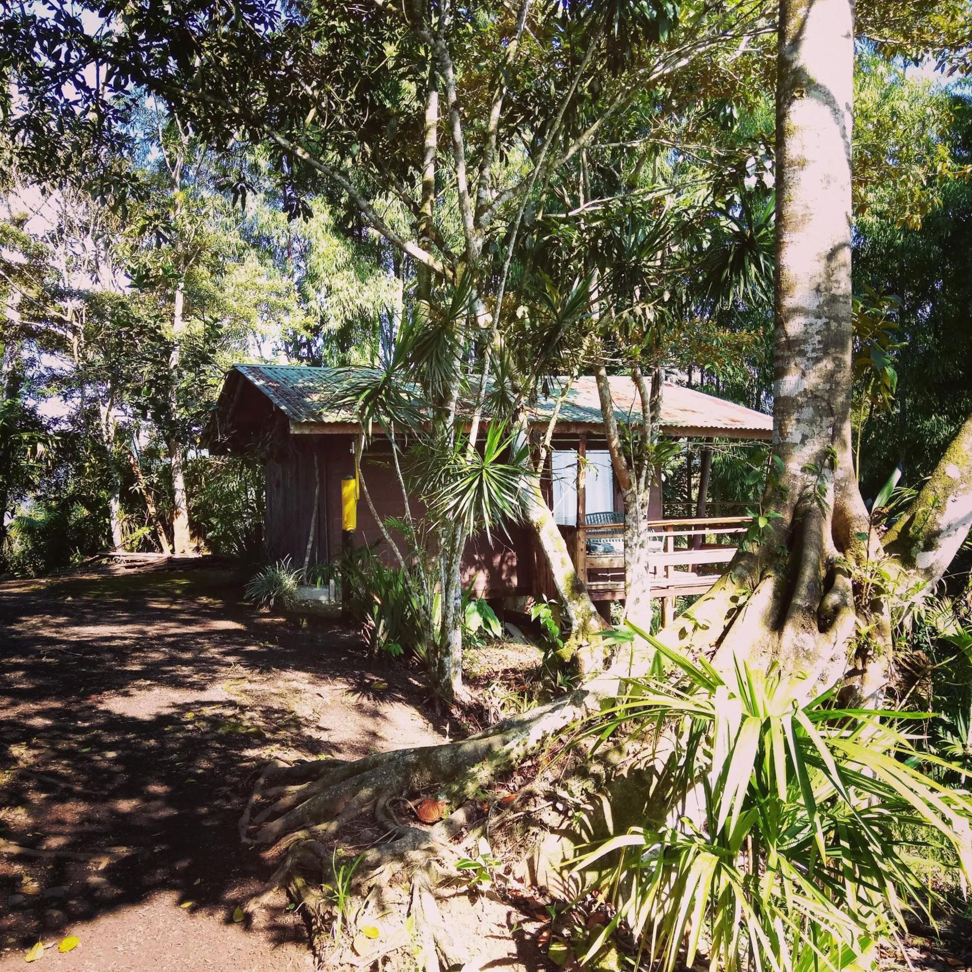 Pochotel Turrialba Camera foto
